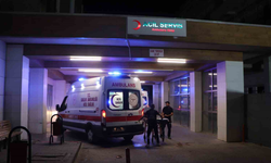 Otizmli çocuk ve babaannesi süs havuzunda ölümden döndü
