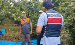 Fındık tarlalarında jandarma nöbeti