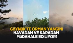 Göynük'te orman yangını