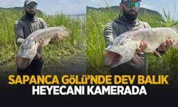 Sapanca Gölü'nde dev balık heyecanı kamerada
