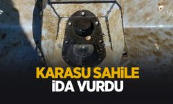 Karasu'da sahile İDA vurdu