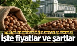 TMO'nun Sakarya’da fındık alımları başladı: İşte fiyatlar ve şartlar