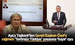 Ayça Taşkent'ten Genel Başkan Özel'e rağmen 'Terörsüz Türkiye' yasasına 'hayır' oyu
