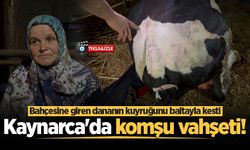 Bahçesine giren dananın kuyruğunu baltayla kesti