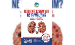 Böbrekte kistim var ne yapmalıyım? Uzmanlar yanıtlayacak