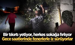 Bir tıkırtı yetiyor, herkes sokağa fırlıyor: Gece saatlerinde fenerlerle iz sürüyorlar