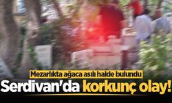 Serdivan'da korkunç olay! Mezarlıkta ağaca asılı halde bulundu