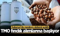 TMO fındık alımlarına başlıyor: Sakarya'da randevu sistemi açıldı