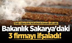 Bakanlık Sakarya'daki 3 firmayı ifşaladı! Ünlü ciğercinin kebabında kanatlı eti çıktı