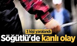 Söğütlü'de kanlı olay: Yaralılar var