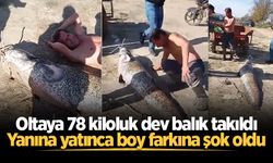 Oltaya 78 kiloluk dev balık takıldı: Yanına yatınca boy farkına şok oldu
