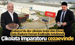 Sakarya'da dev çikolata tesisi olan Elvan Gıda Başkanı Osman Kadiroğlu tutuklandı