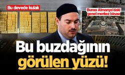 Bu buzdağının görülen yüzü!