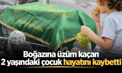 Boğazına üzüm kaçan 2 yaşındaki çocuk hayatını kaybetti