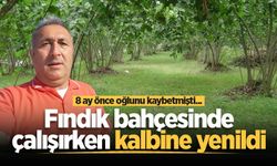Fındık bahçesinde çalışırken kalbine yenildi