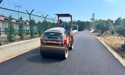Serdivan'da Sahipsiz Hayvanlar Bakımevi yolunda asfalt çalışmaları tamamlandı
