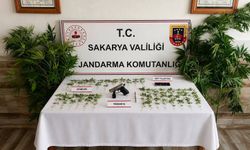 Sakarya'da üç ilçede uyuşturucu operasyonu: 3 tutuklama