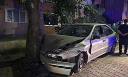 Otomobil ağaca çarptı
