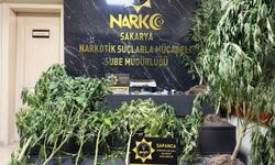 Sapanca'da uyuşturucu operasyonu: 2 gözaltı