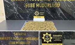 Adapazarı ve Sapanca'da uyuşturucu operasyonu: 2 şüpheli tutuklandı
