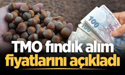 TMO fındık alım fiyatlarını açıkladı