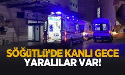 Söğütlü’de kanlı olay: Yaralılar var