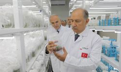 Tarım ve Orman Bakan Yardımcısı Abdülkadir Polat'tan Sapanca Doku Kültürü Laboratuvarı'na tam not
