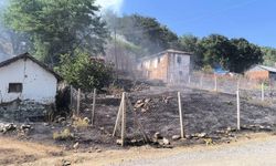 Orman yangınına sebebiyet veren şahıs gözaltına alındı