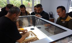 Fındıkta randıman alım fiyatını yükseltiyor