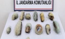 Bolu'da 22,5 metre kaçak ağ ele geçirildi