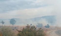 Bolu’da arazi yangını ormanlık alana ulaşmadan söndürüldü