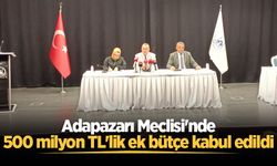 Adapazarı Belediyesi'nin bütçesi artırıldı