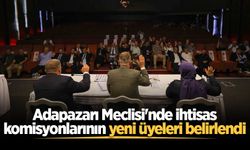 Adapazarı Meclisi'nde ihtisas komisyonlarının yeni üyeleri belirlendi