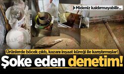 Hendek'te şoke eden denetim! Ürünlerde böcek çıktı, kazanı inşaat küreği ile karıştırmışlar!