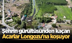 Şehrin gürültüsünden kaçan Acarlar Longozu'na koşuyor