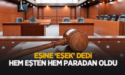 Eşine eşek dedi olanlar oldu