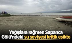 Yağışlara rağmen Sapanca Gölü'ndeki su seviyesi kritik eşikte