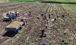 Tarlada 28 liradan alıcı bulan patates tüketiciye 40-45 liradan ulaşıyor