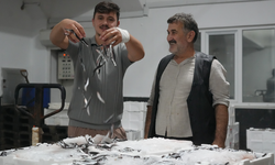 Karadeniz'de çifte bereket: Hem palamut hem hamsi bolluğu
