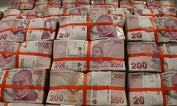 Bütçe Ağustos ayında 12,9 milyar TL fazla verdi