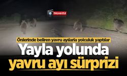 Yayla yolunda önlerinde beliren yavru ayılarla yolculuk yaptılar