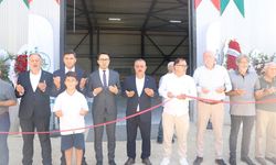 Akyazı'da fındığa değer katacak yeni fabrika üretime başladı