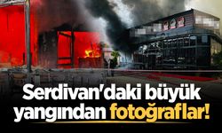 Serdivan'daki restoran yangından fotoğraflar!