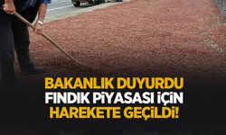 Bakanlıktan fındık piyasası için flaş adım