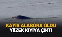 Kayık alabora oldu: Yüzerek karaya çıktı