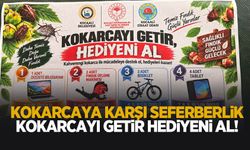 Kahverengi kokarcaya karşı ödüllü kampanya