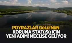 Poyrazlar Gölü için imar planı değişikliği gündemde