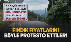 Fındık fiyatlarına mizahi tepki! Köyün girişine bu tabelayı astılar