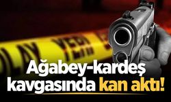 Akyazı'da ağabey-kardeş kavgasında kan aktı: 1 yaralı