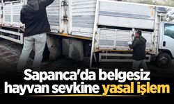 Sapanca'da belgesiz hayvan sevkine yasal işlem